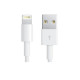 Кабель Apple Lightning to USB Cable 1m (MD818)