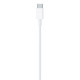 Кабель Lightning Apple USB-C to Lightning Cable 1m (MX0K2)