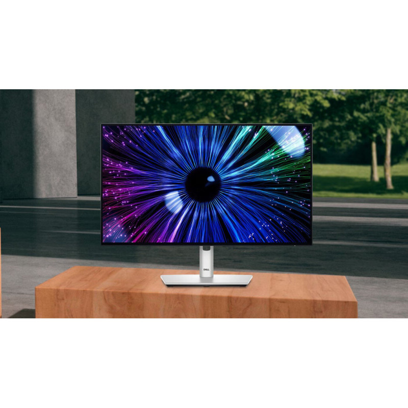 Монітор Dell U2424HE (210-BKJF)