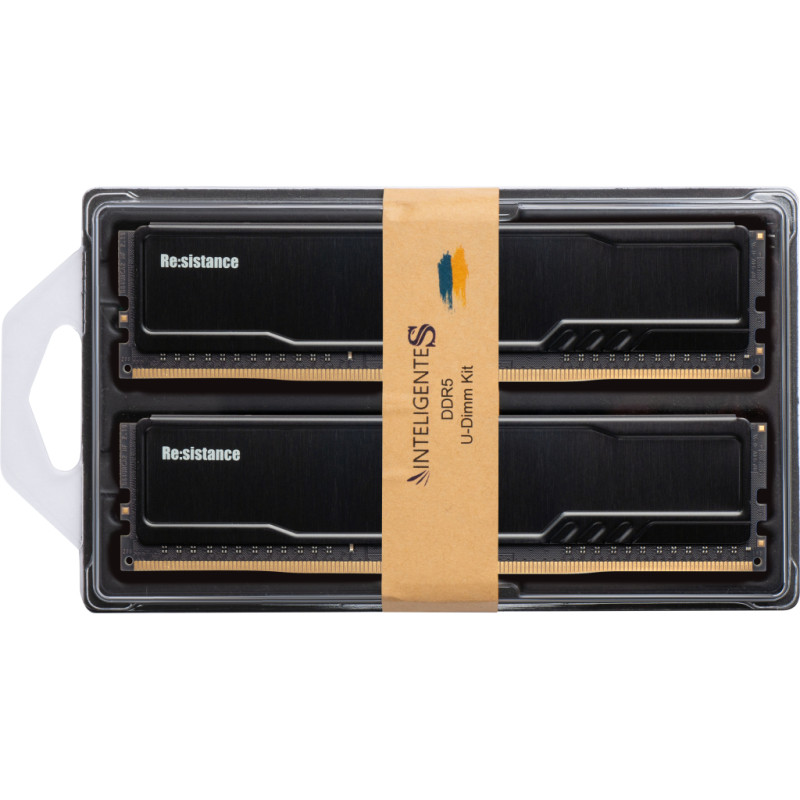 Модуль пам'яті для комп'ютера DDR5 32GB (2x16GB) 5600 MHz CL46 1.1V Resistance INTELIGENTES (IR5CIJ2/32)