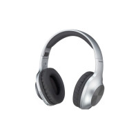 Навушники Panasonic RB-HX220BEES Gray (RB-HX220BEES)
