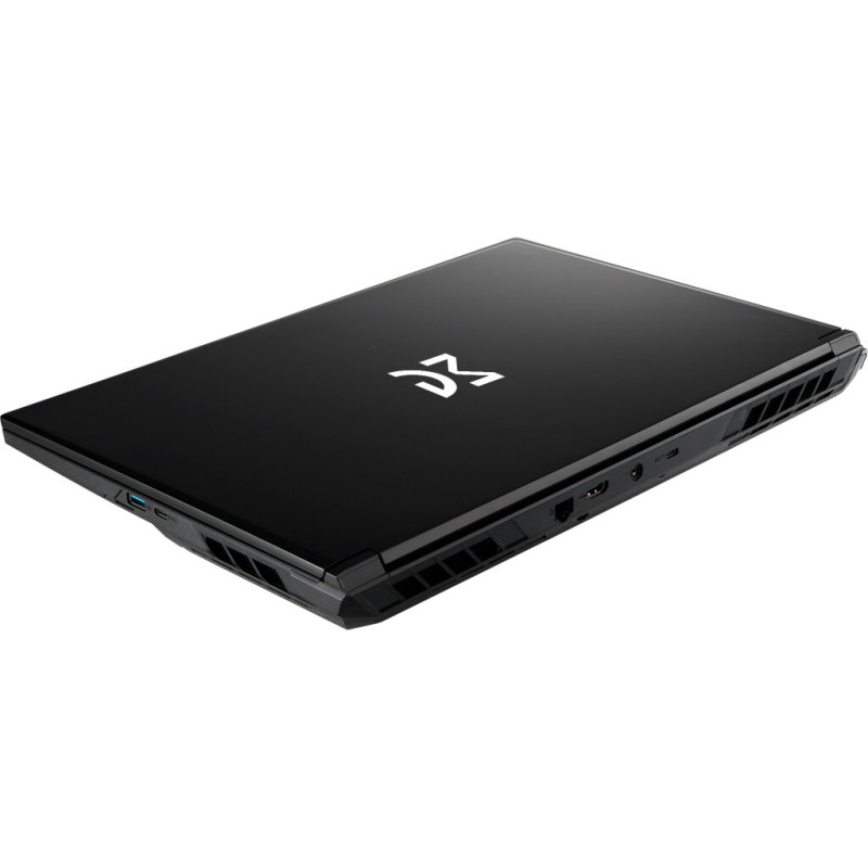 Ноутбук Dream Machines RG5050-17 (RG5050-17UA29)