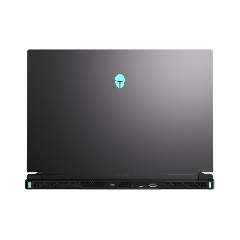 Ноутбук Thunderobot RS16 (RS16-i9139HX57TC1Q240ARB1)