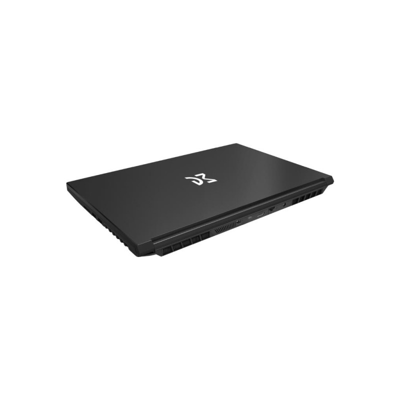 Ноутбук Dream Machines RG4050-15 (RG4050-15UA66)
