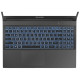 Ноутбук Dream Machines RG3050-15 (RG3050-15UA77)